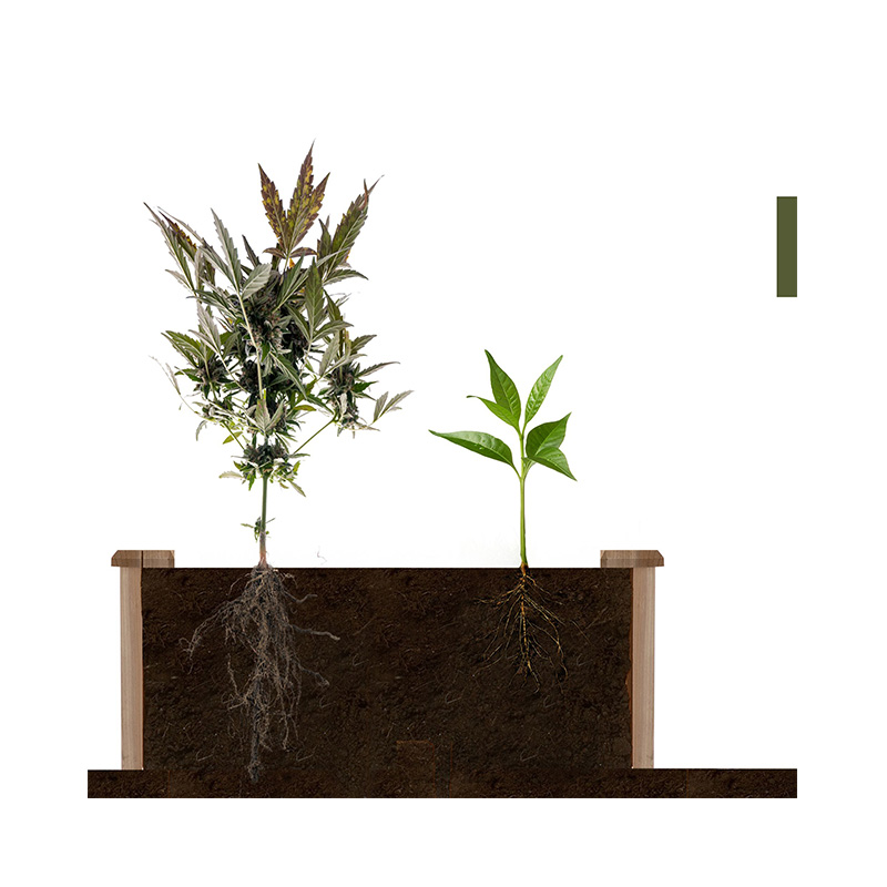 3,9 piedi x 3,9 piedi letto da giardino rialzato con griglia segmentata, materiale in legno per piante ed erbe da cortile