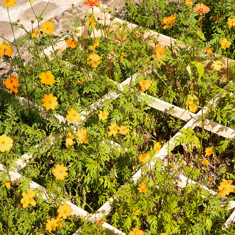 3,9 piedi x 3,9 piedi letto da giardino rialzato con griglia segmentata, materiale in legno per piante ed erbe da cortile